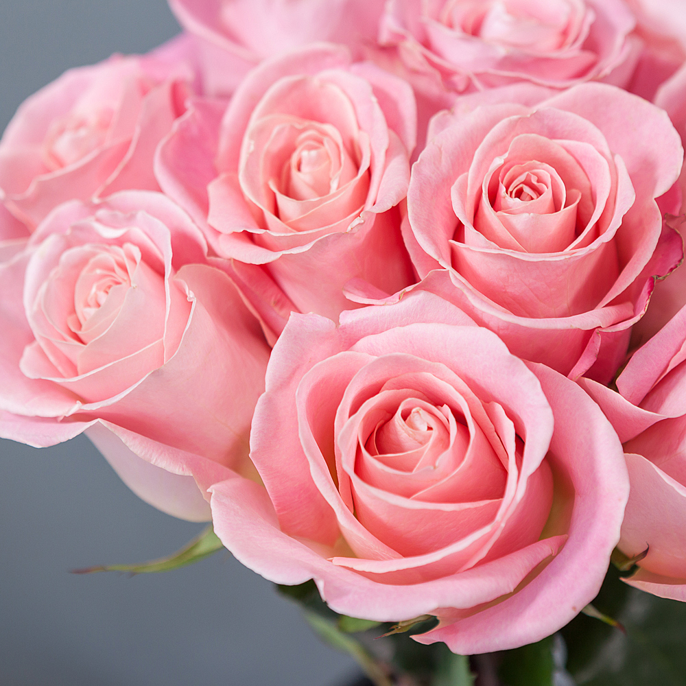 монобукет из 11 роз "hermosa" под ленту 