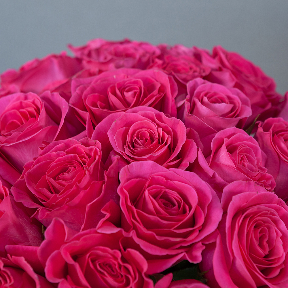 монобукет 25 роз «pink floyd» под ленту 