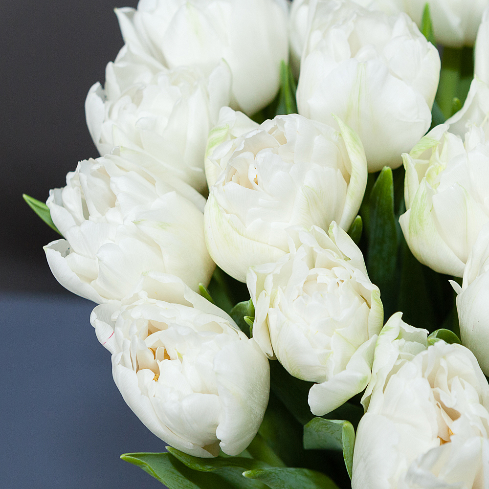 монобукет из 19 белых тюльпанов 