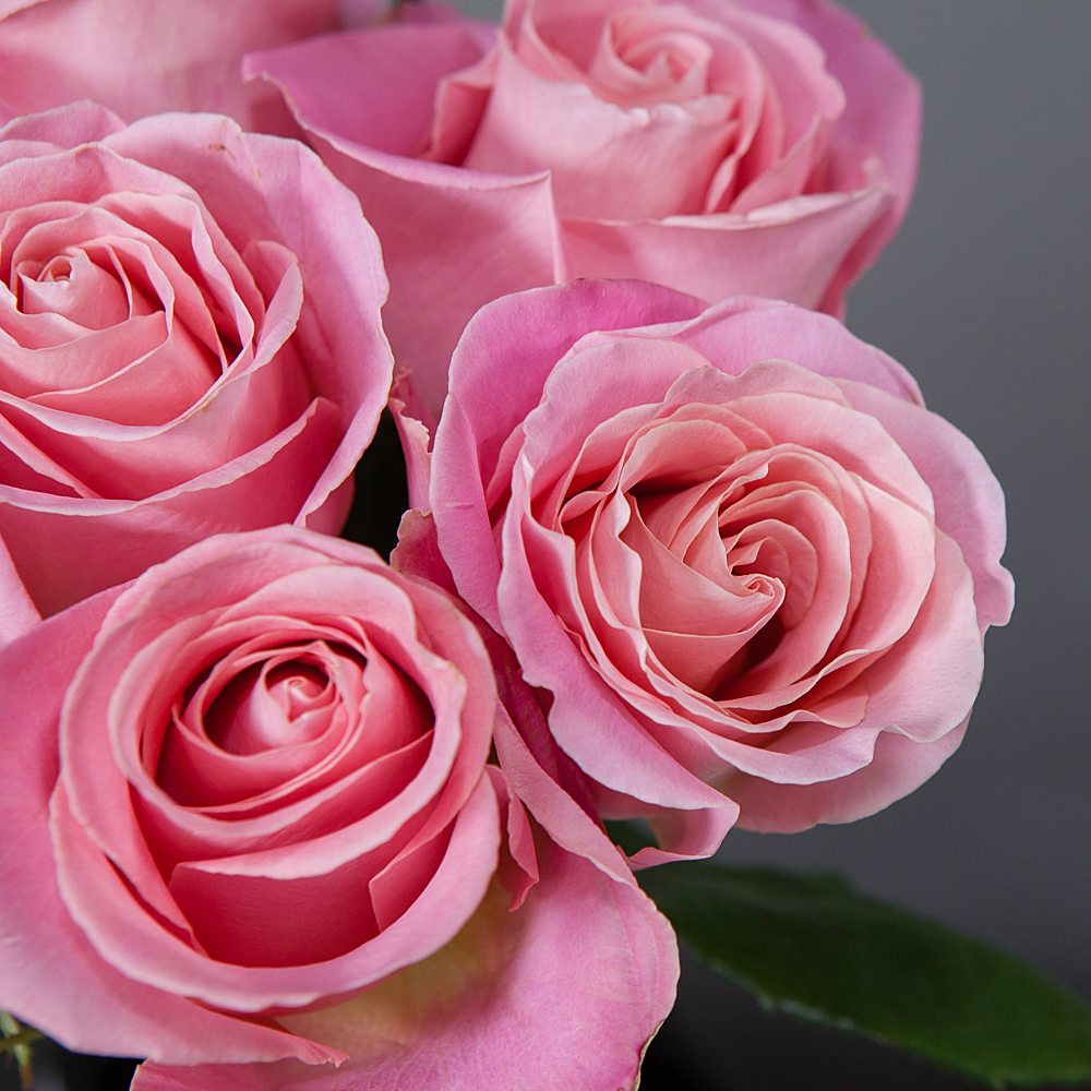 монобукет 7 роз "hermosa" под ленту 
