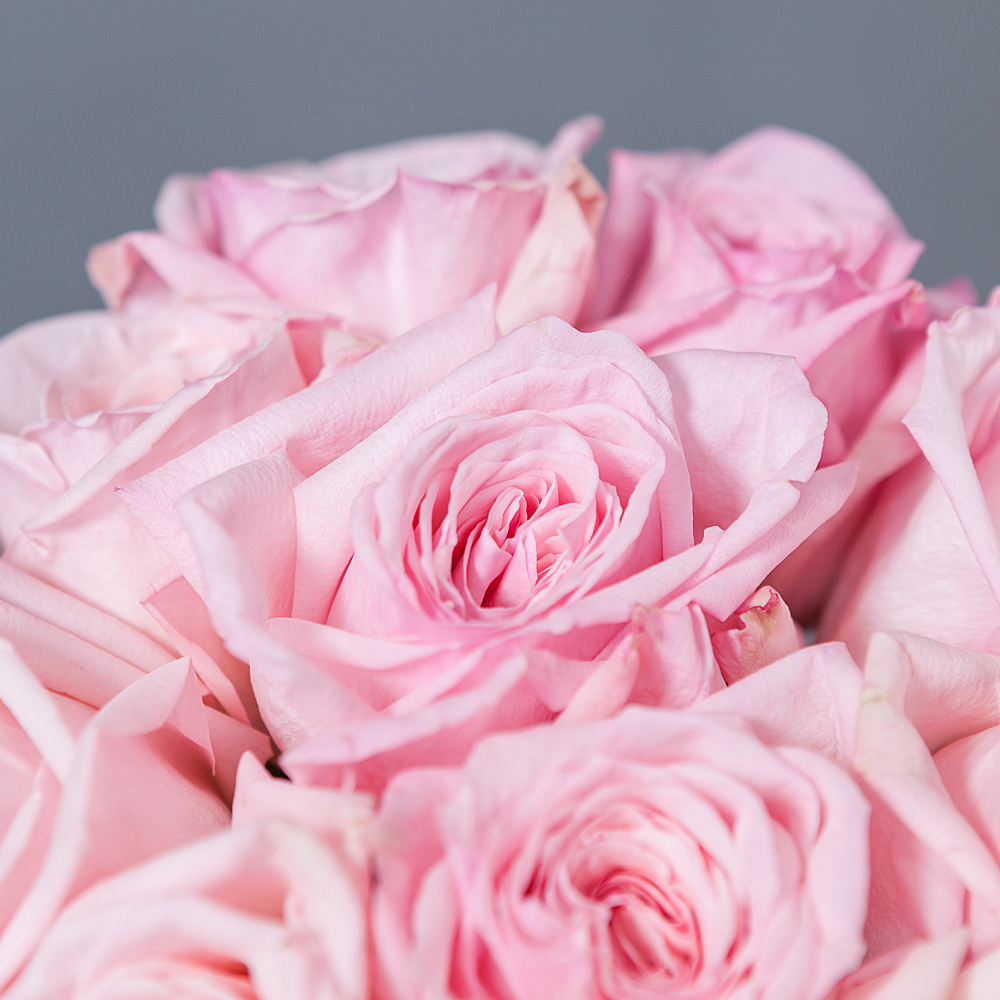 монобукет 11 роз "pink o`hara" под ленту 