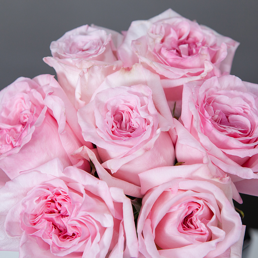 монобукет 7 роз "pink o`hara" под ленту 