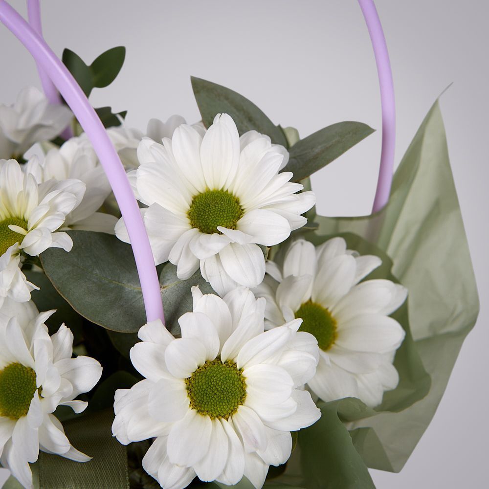 композиция “ромашковый сон” 