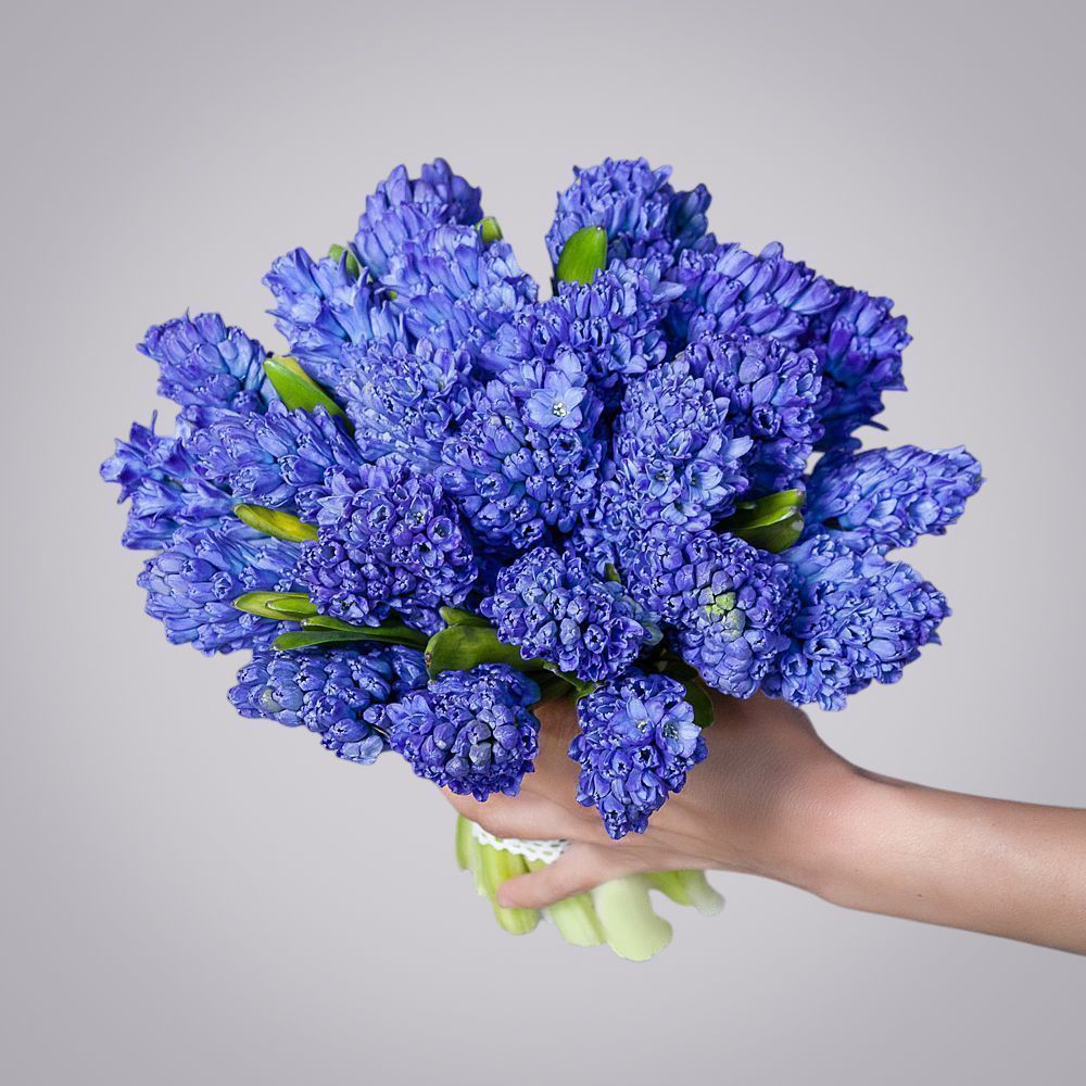 монобукет синие гиацинты 25 шт под ленту 