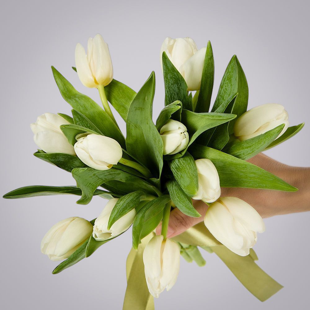 монобукет из 11 белых тюльпанов под ленту 