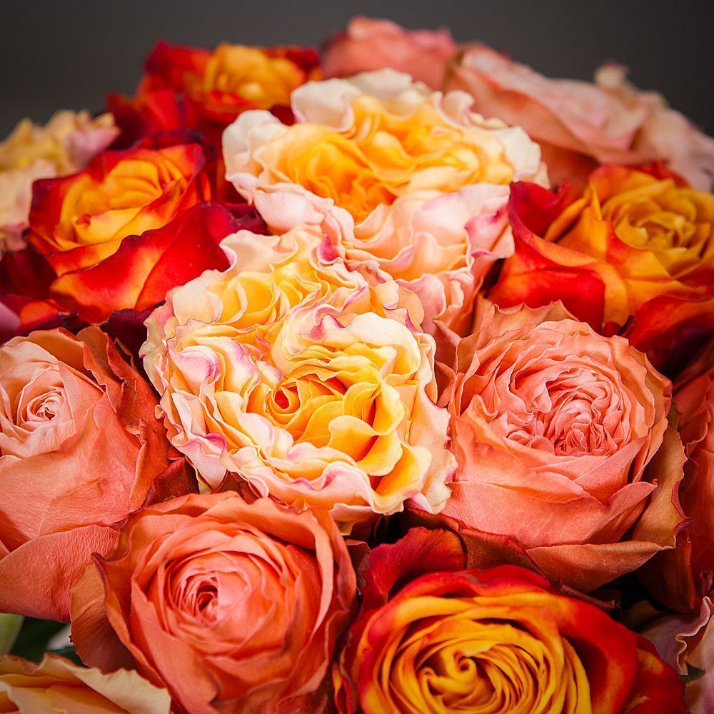 монобукет из 21 роз микс-2 под ленту 