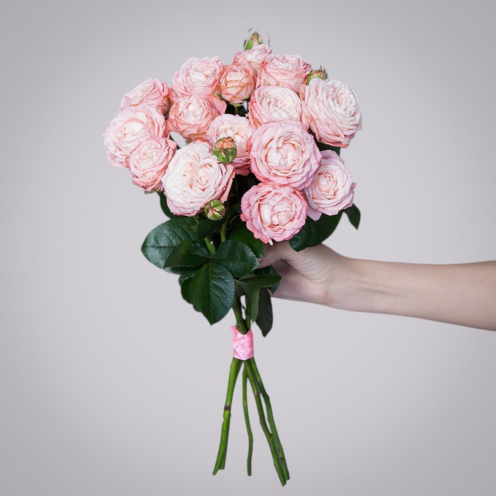 монобукет 5 роз "madam bombastic" под ленту 