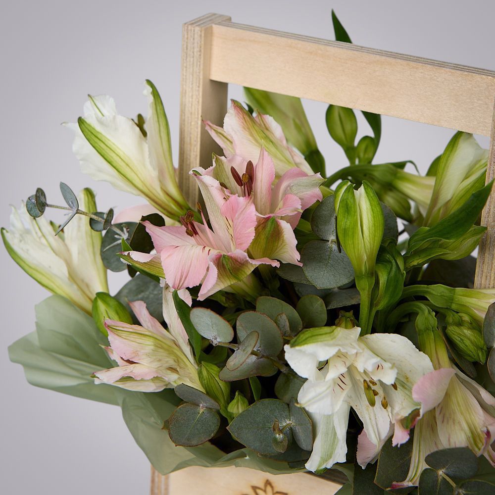 композиция “утренний сад” 