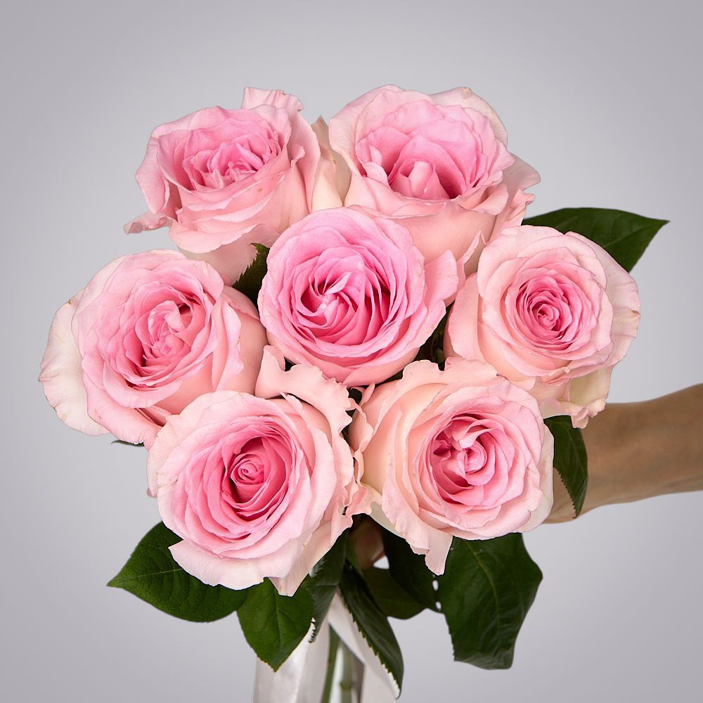 монобукет 7 пионовидных роз "mandala" под ленту 