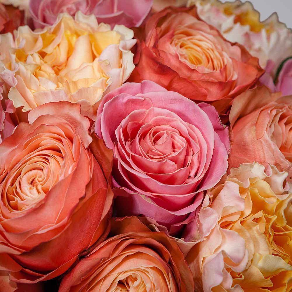 монобукет из 21 роз микс-7 под ленту 