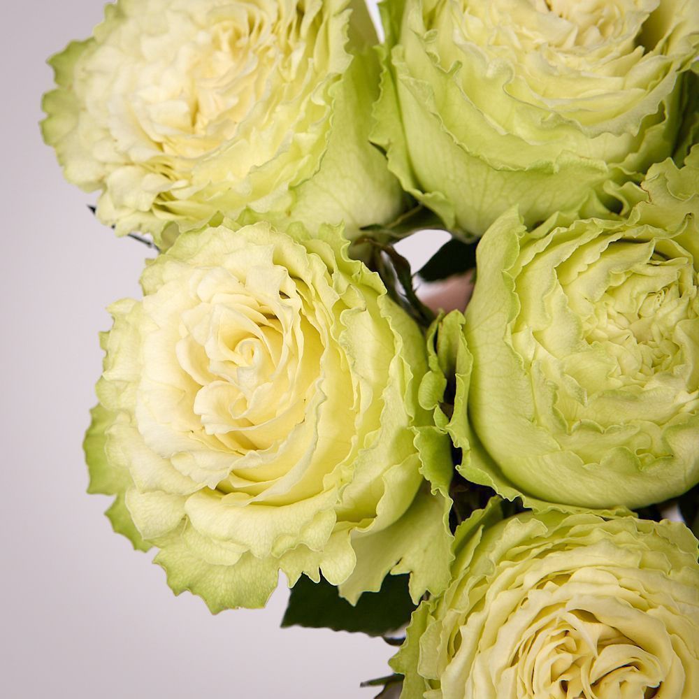 монобукет 11 пионовидных роз "lemonade" под ленту 