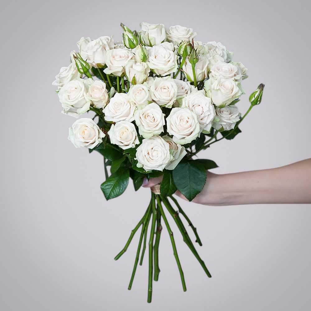 монобукет 9 роз "porcelaine" под ленту 