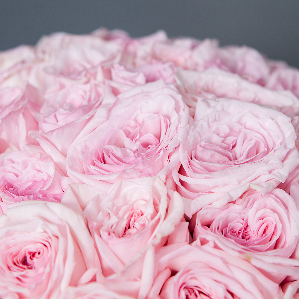 монобукет 51 роза «pink o'hara» под ленту 