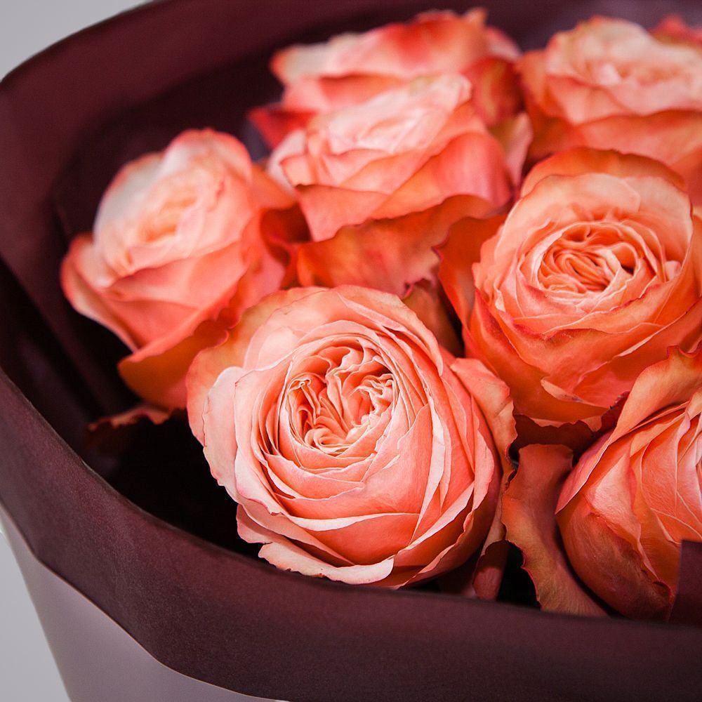 монобукет 9 пионовидных роз "kahala" в упаковке с тишью 