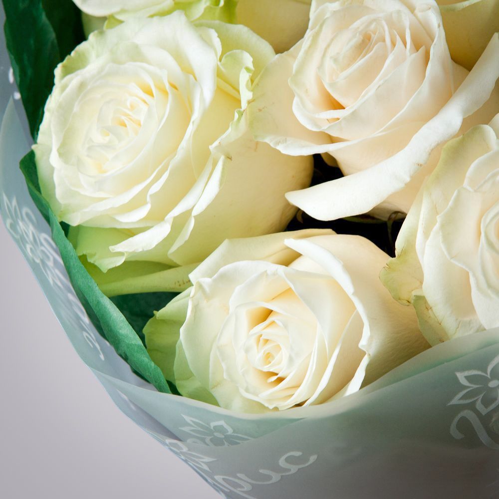 монобукет 9 роз "mondial" в зеленой упаковке с тишью 