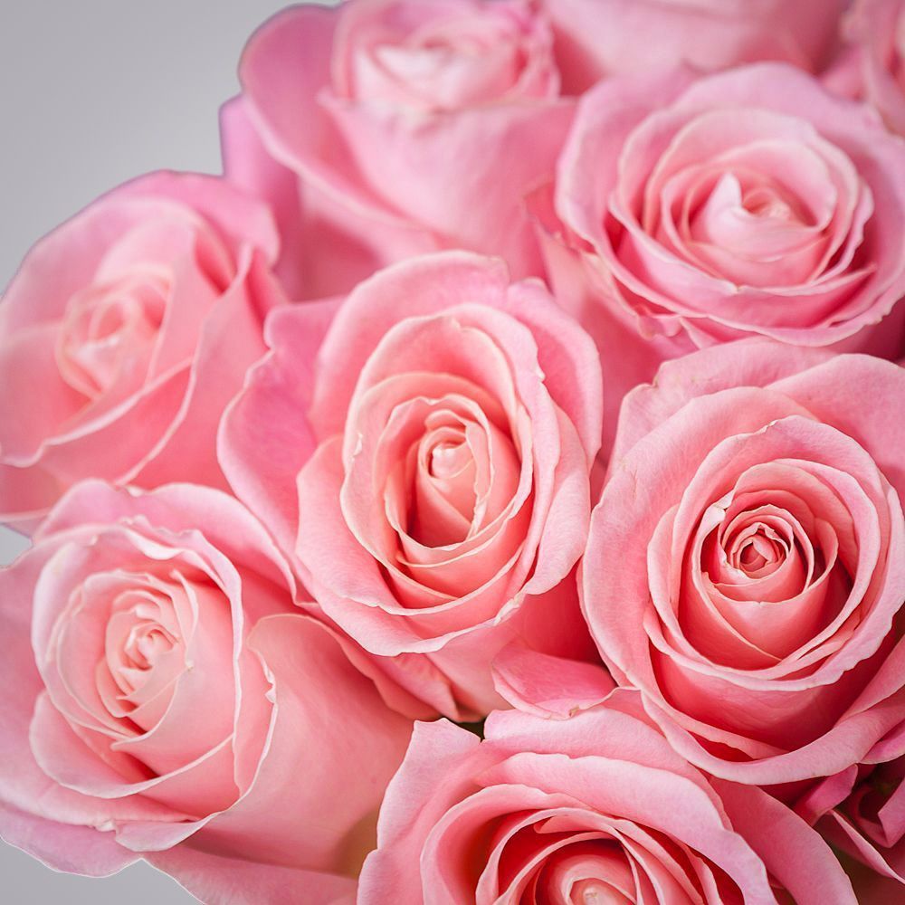 монобукет из 11 роз "hermosa" под ленту 