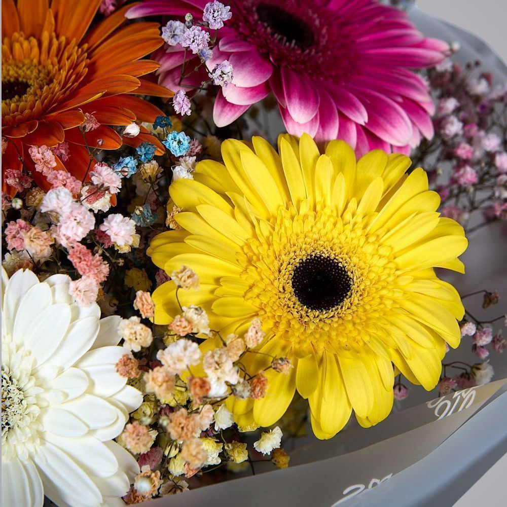 монобукет из 7 гербер с гипсофилой  