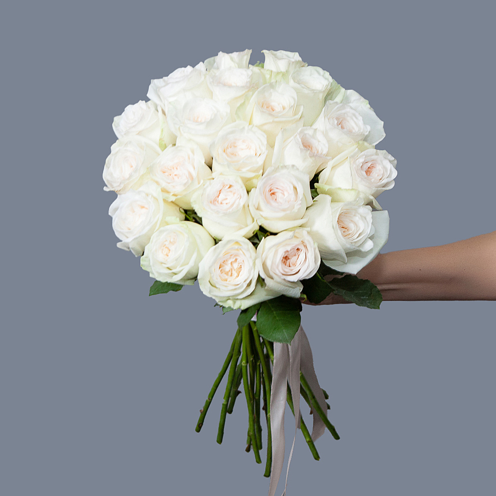 монобукет 21 роза "white o`hara" под ленту 