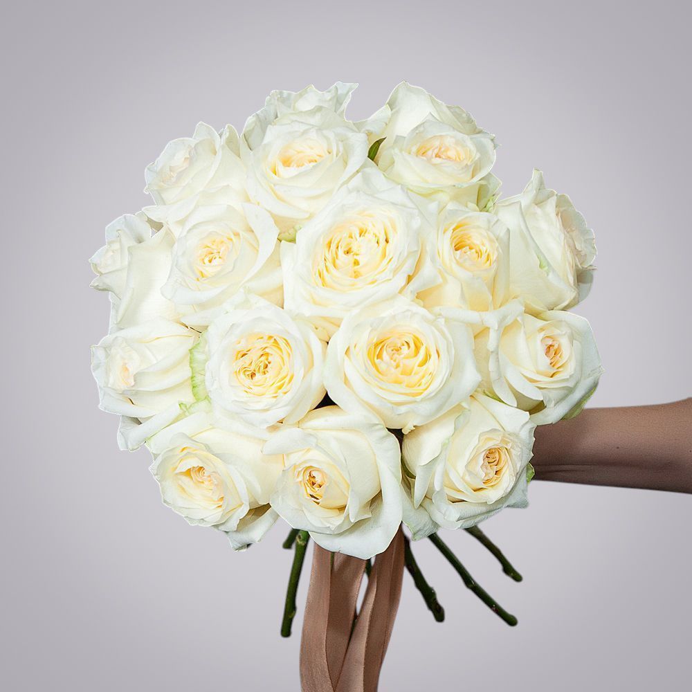 монобукет 17 пионовидных роз "candlelight" под ленту 