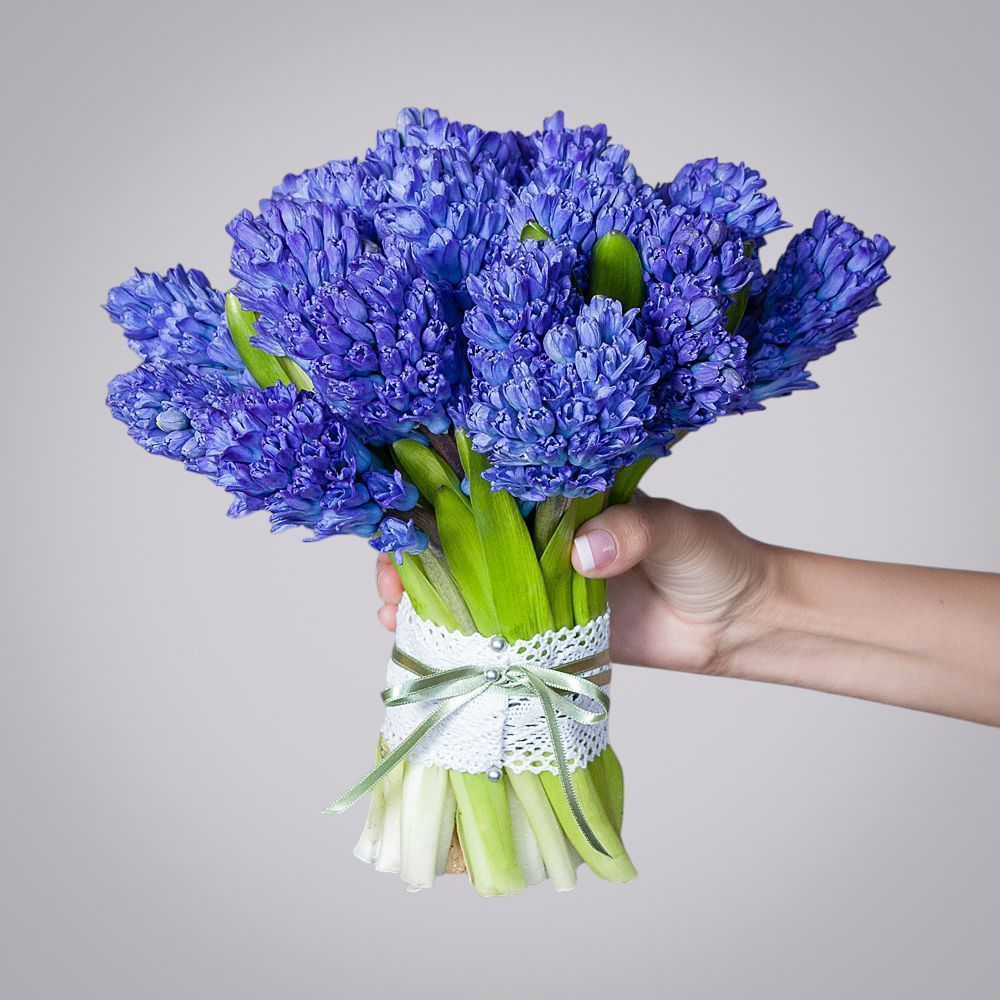 монобукет синие гиацинты 25 шт под ленту 