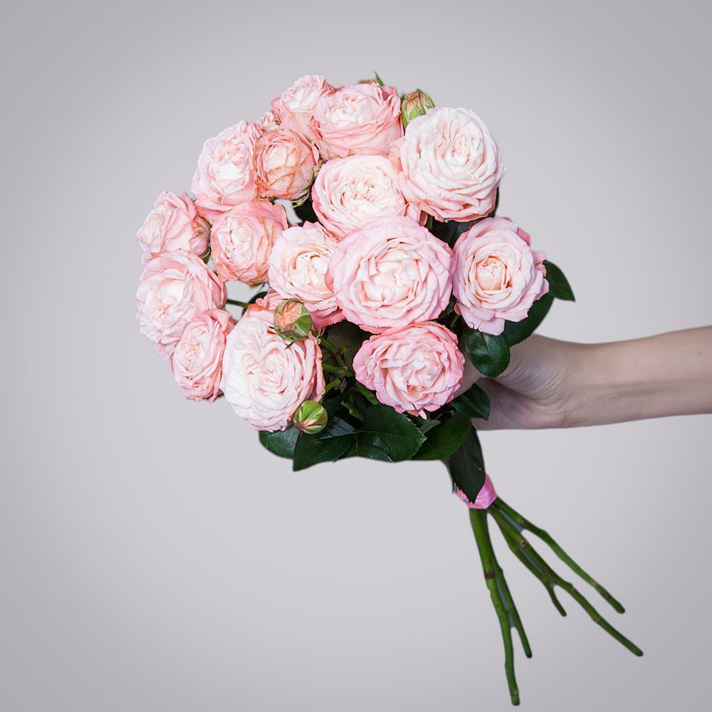 монобукет 5 роз "madam bombastic" под ленту 