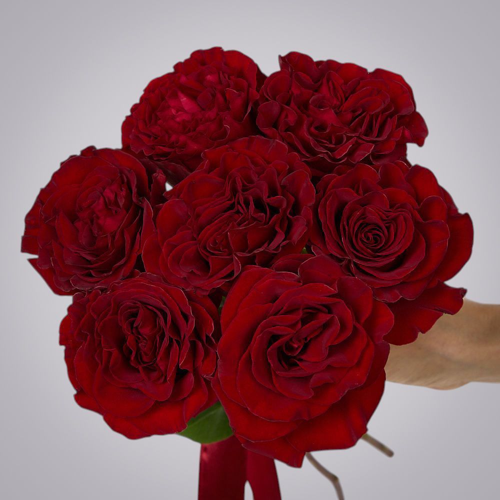 монобукет 7 пионовидных роз "hearts" под ленту 