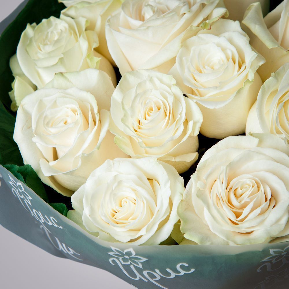 монобукет из 11 роз "mondial" в упаковке с тишью 