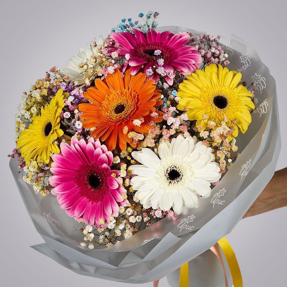 монобукет из 7 гербер с гипсофилой  