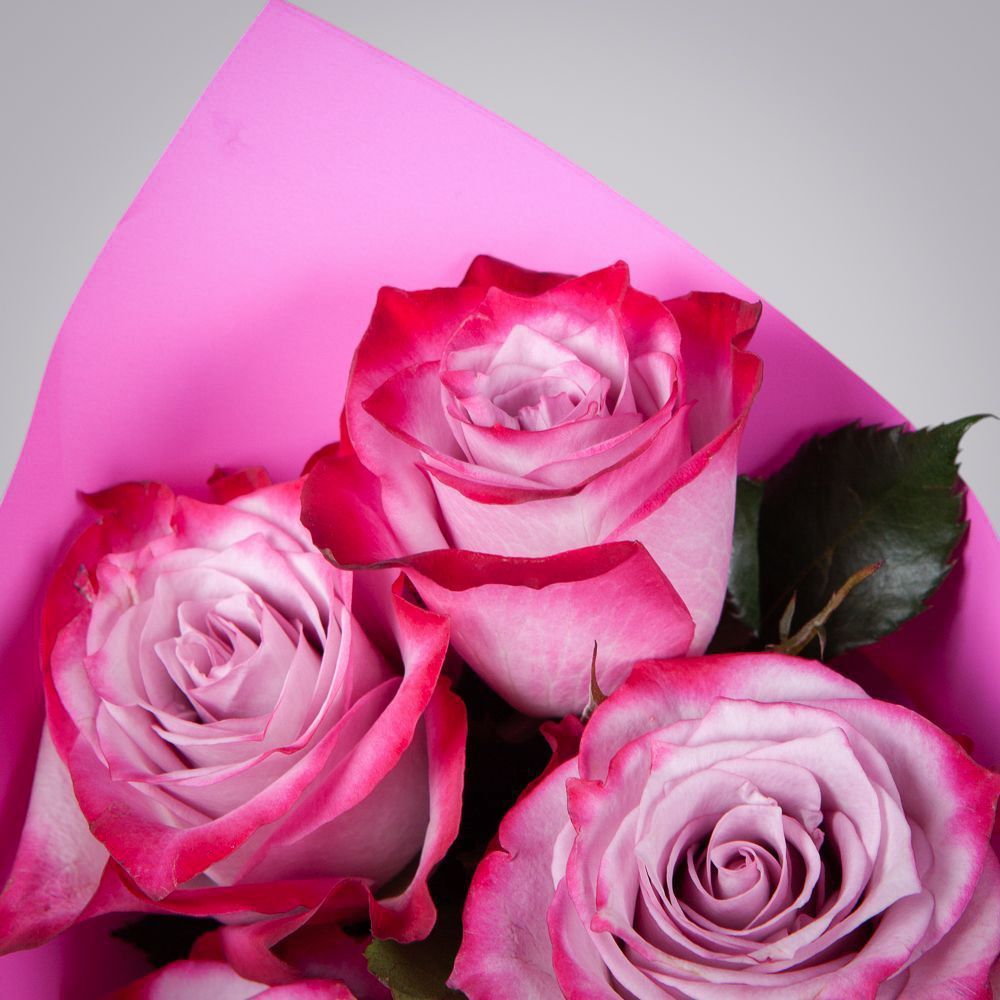 монобукет 5 роз "deep purple" в упаковке 