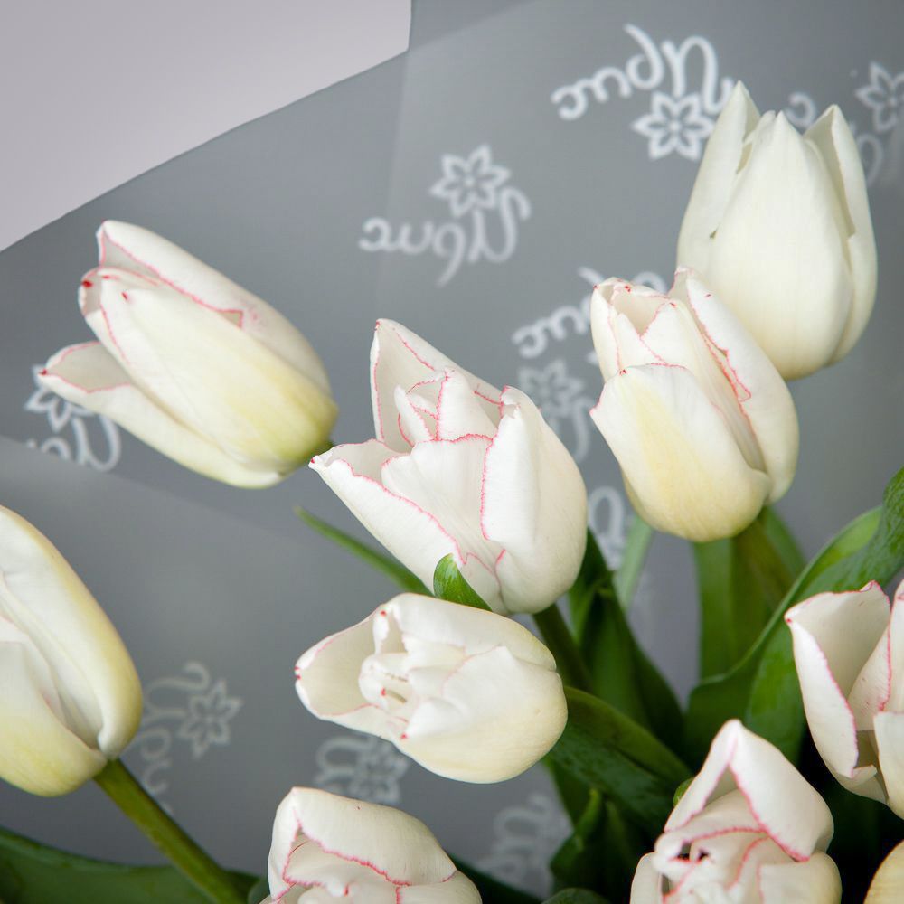 монобукет из 17 белых тюльпанов в упаковке 