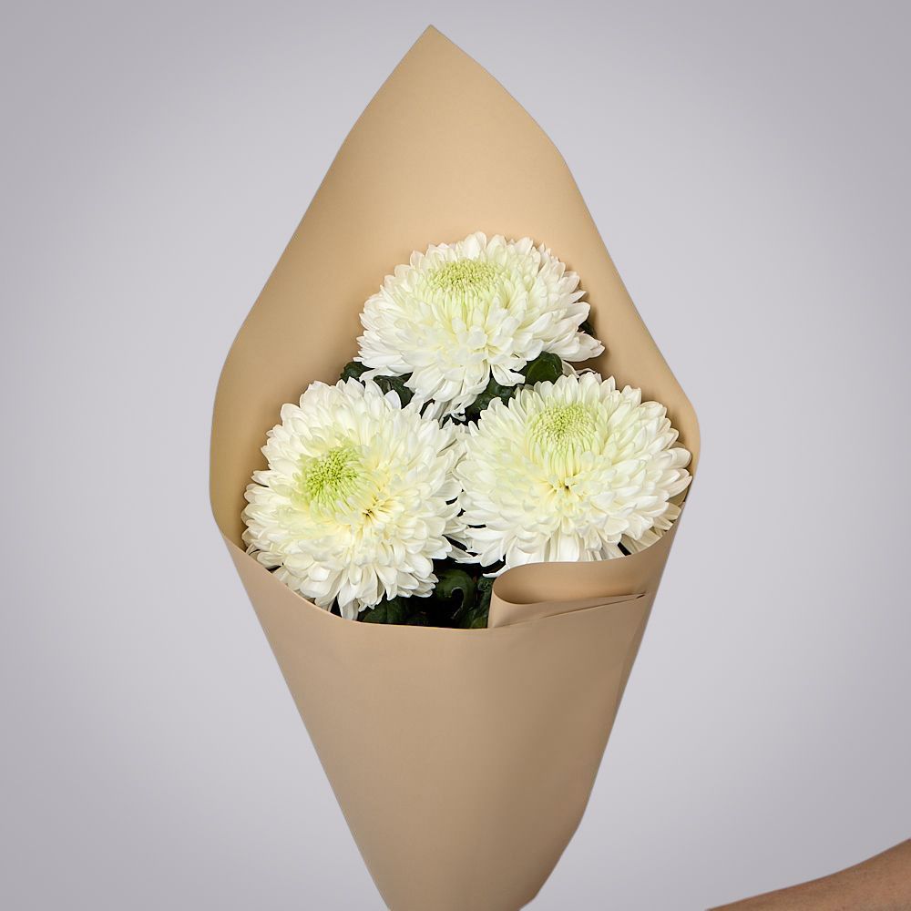 монобукет из 3 белых хризантем magnum в упаковке 