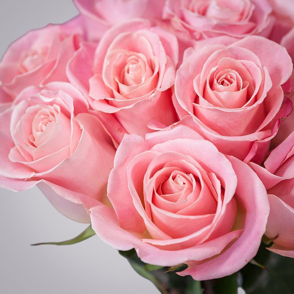 монобукет из 11 роз "hermosa" под ленту 