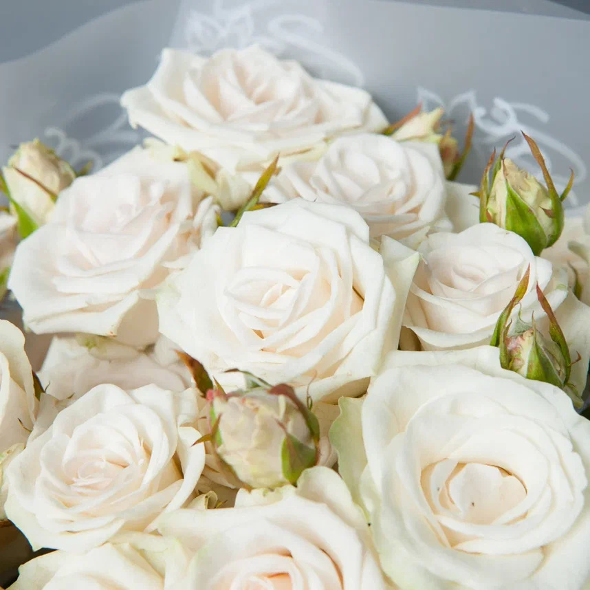 монобукет 5 кустовых роз "royal porcelaine" в упаковке 