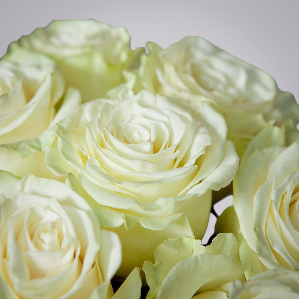 монобукет 11 роз mondial под ленту 