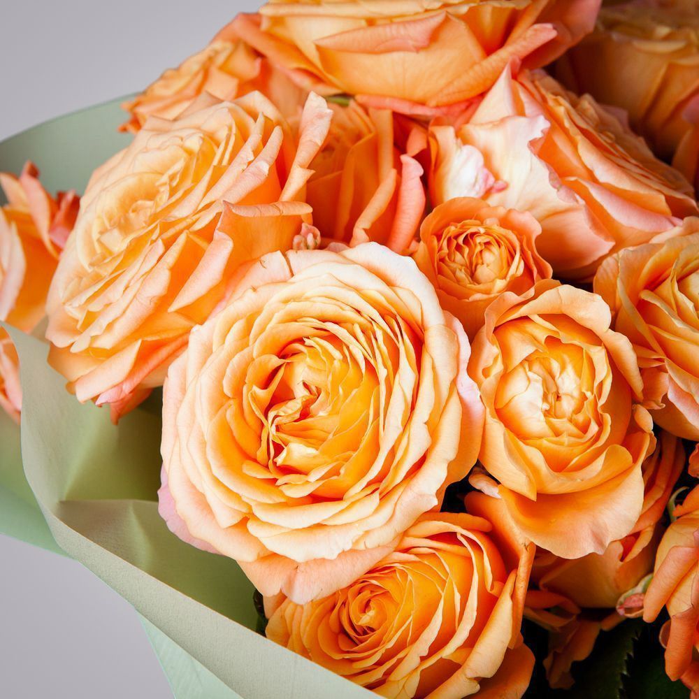 монобукет 11 кустовых роз "apricot lace" в упаковке  монобукет 11 кустовых роз "apricot lace" в упаковке