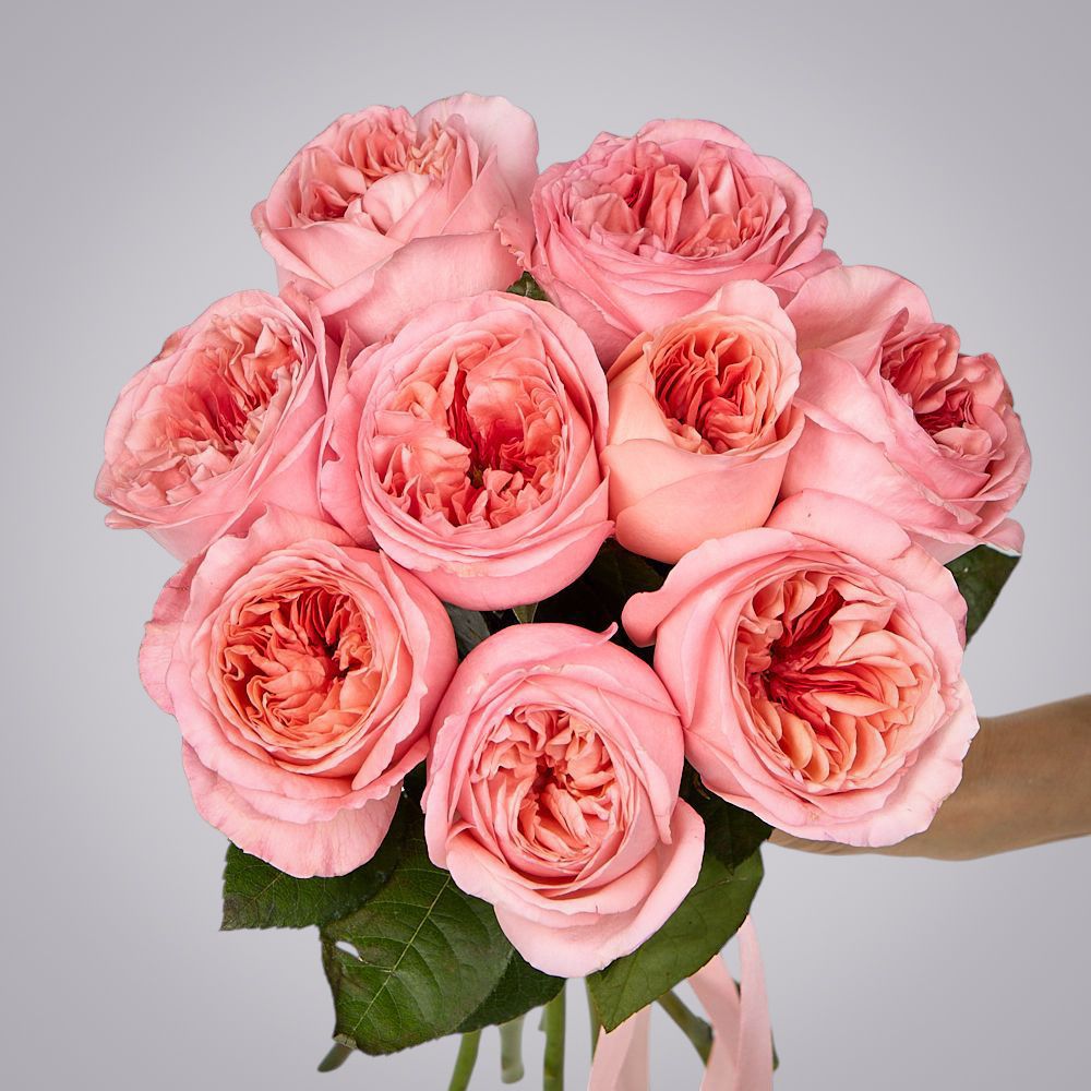 монобукет 9 пионовидных роз "pink x-pression" под ленту 