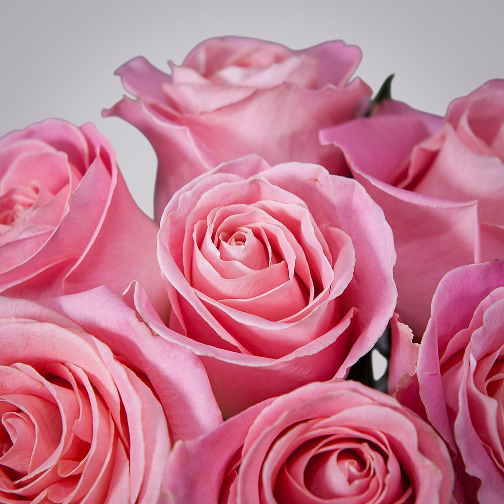 монобукет 7 роз "hermosa" под ленту 