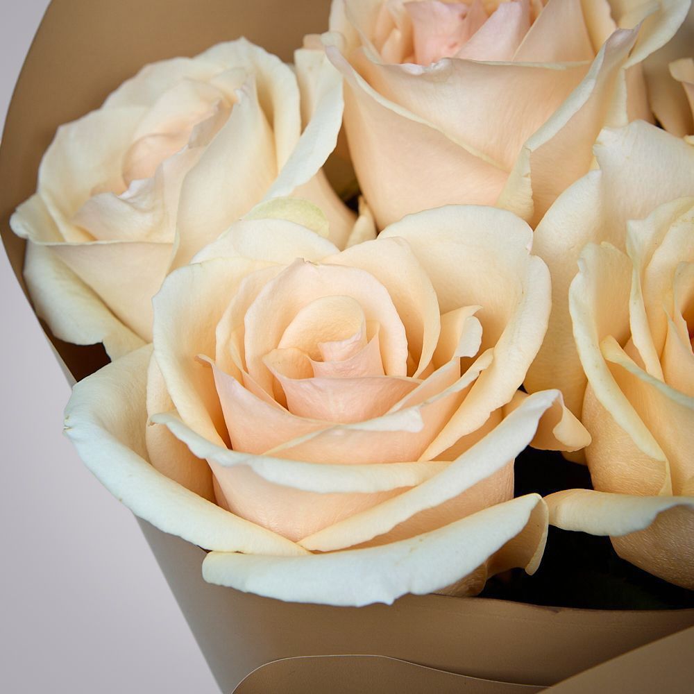 монобукет из 5 роз “favourite” в упаковке 