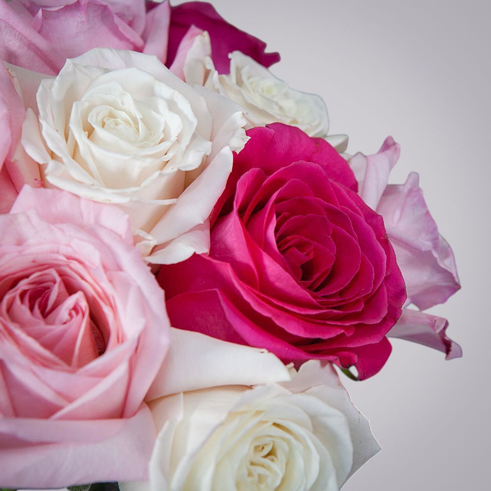 монобукет из 15 роз микс-8  под ленту 