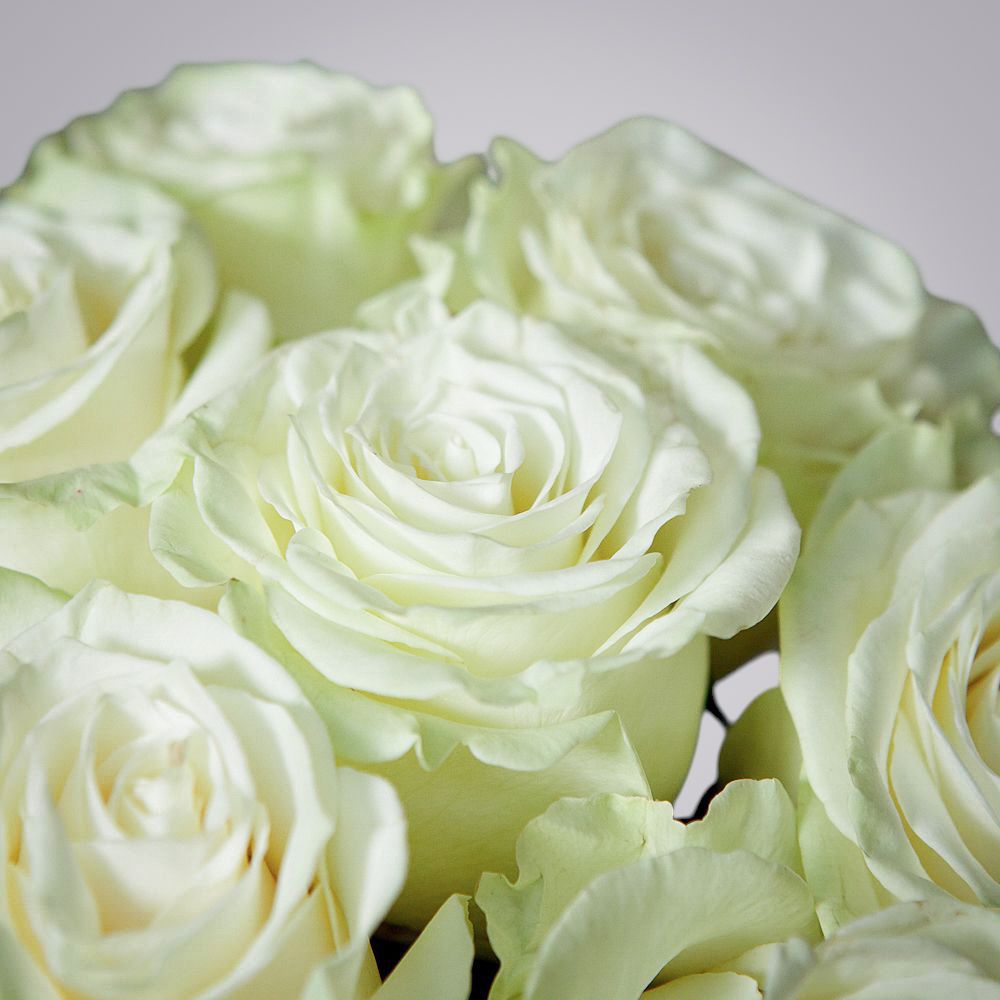 монобукет 9 роз "mondial" под ленту 