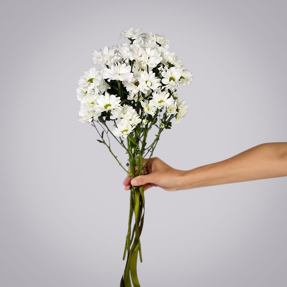 монобукет из 5 белых кустовых хризантем под ленту  