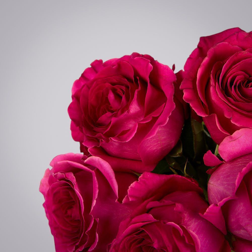 монобукет из 5 роз "pink floyd" под ленту 