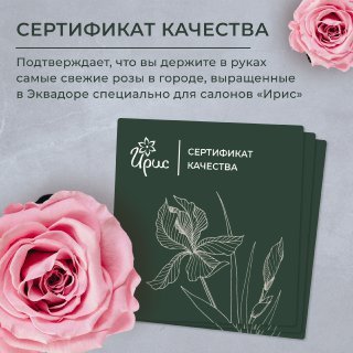 монобукет 11 пионовидных роз "kahala" в упаковке с тишью 