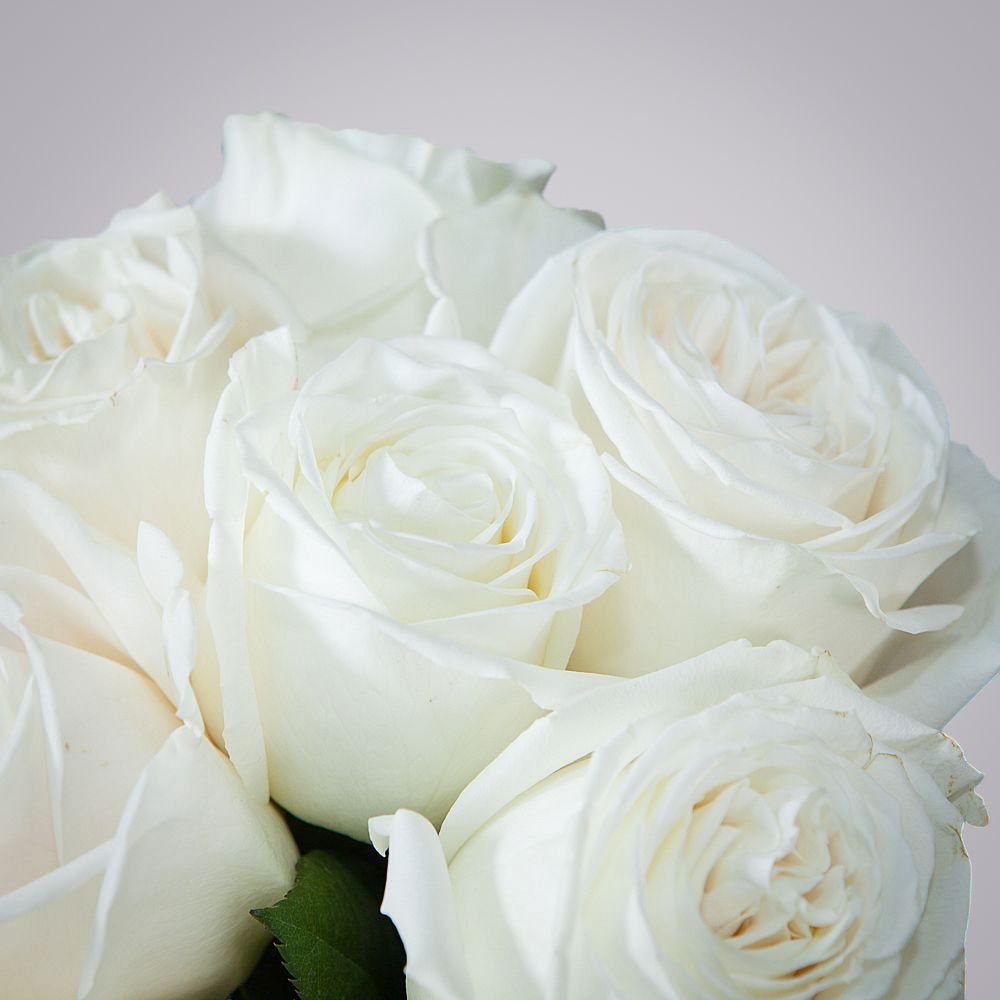 монобукет 7 пионовидных роз "playa blanca" под ленту 