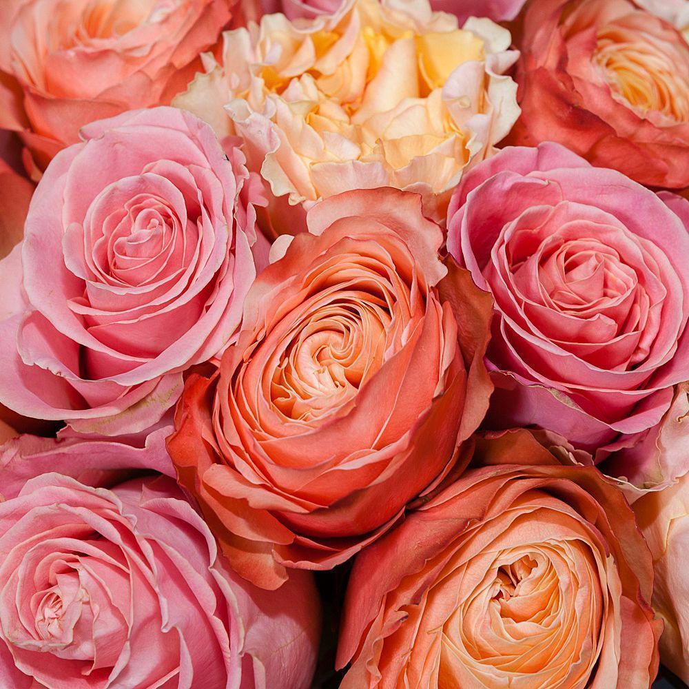 монобукет из 21 роз микс-7 под ленту 