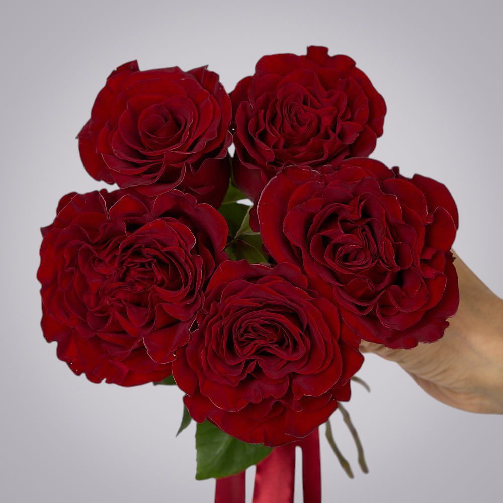 монобукет 5 пионовидных роз "hearts" под ленту 