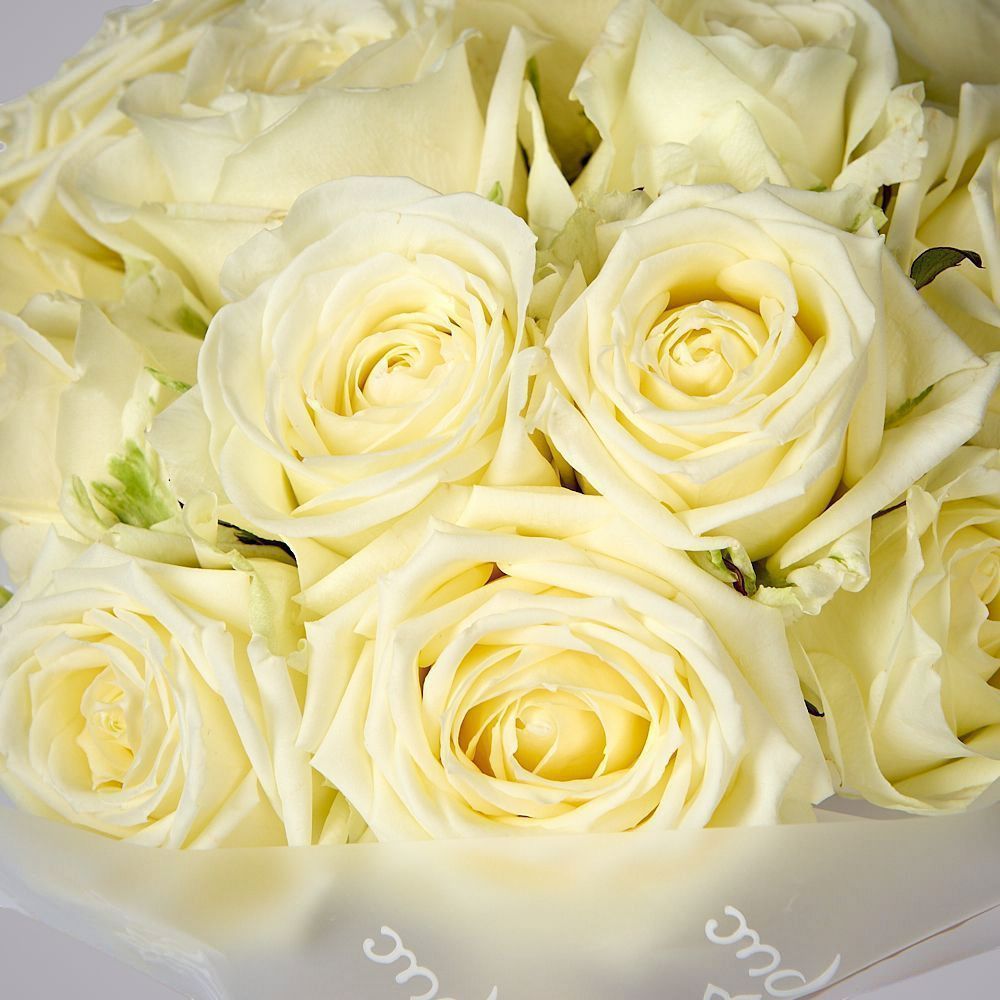 монобукет из 15 белых роз россия в упаковке 