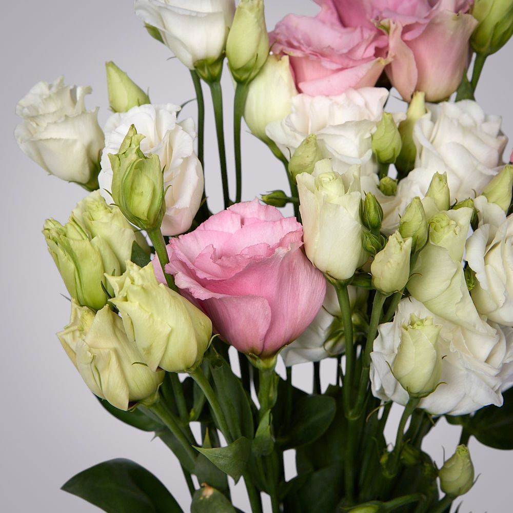 монобукет из 5 лизиантусов микс под ленту 