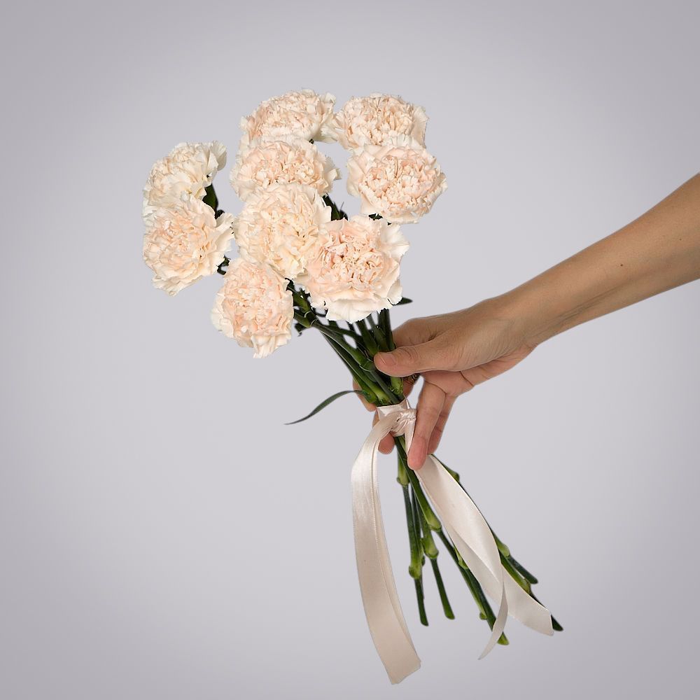 монобукет из 9 кремовых гвоздик под ленту 