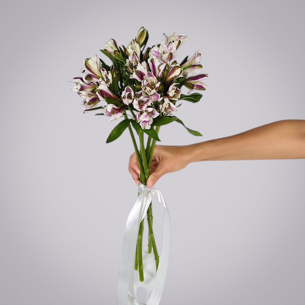 монобукет из 5 альстромерий под ленту  